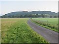 Farm track bordering grazing land behind Holnicote House