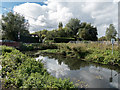 River Stort, Spellbrook, Essex