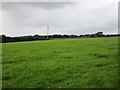 Field below Rixford Manor