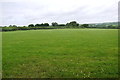 Countryside at Strode Valley