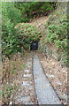 SM8024 : Narrow gauge railway in tunnel under Gribin by Martin Southwood