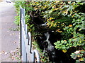 White water on the infant Afon Lwyd, Blaenavon