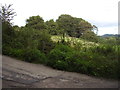 Footpath to Newton Poppleford