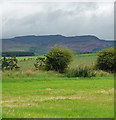 Farmland near Wingates (3)