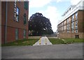 Flats on Stanley Park Road, Wallington