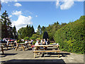 Beer garden at The Bear and Ragged Staff public house Stonymarsh