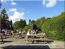 SU3325 : Beer garden at The Bear and Ragged Staff public house Stonymarsh by Steve  Fareham
