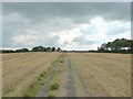 Footpath between Springfield Road and Coppull Moor Lane