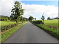 Aghintain Road, Mullaghsillogagh / Moysnagh