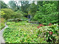 In the Himalayan Garden, Harewood House