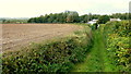 Footpath to the sea wall