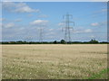 Stubble field and power lines