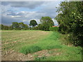 Field and hedgerow near Mendlesham