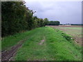 Farm track (footpath) , Middlwood Green