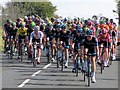 NY8360 : Tour of Britain - Stage 5 - peloton near Langley by Andrew Curtis