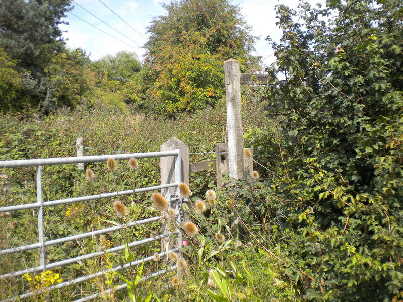 How To Report An Overgrown Public Footpath