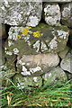 Benchmark on dry stone wall near Langton Gate