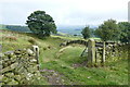 A gate with a view