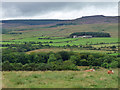 Farmland near Forestburn Gate (2)