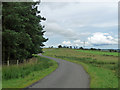 Country road near Low Hesleyhurst (1)