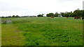 Paddock near Wollerton Grange Farm