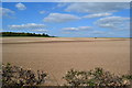 Distant tractor in bare field