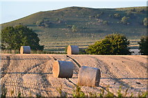 SU1661 : Hay bales in field by David Martin