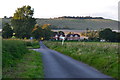 Evening light in lane below Martinsell Hill