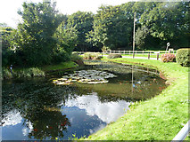TR3346 : Pond, East Langdon by Robin Webster