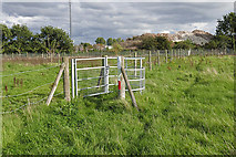 TQ0868 : Footpath gate near Upper Halliford by Alan Hunt
