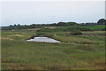 TM4974 : Looking to Dunwich River on Lampland Marsh by Roger Jones