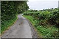 Country road below Allt Penarth