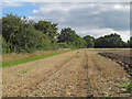 Footpath on arable field margin, Galleywood