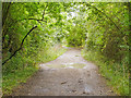 Bridleway to Brook Lane, Galleywood