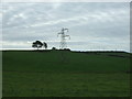 SD4967 : Grazing and pylon off Bolton Lane by JThomas