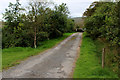 Dales Way heading towards Swarthghyll Farm.