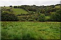 Nant Tawe valley