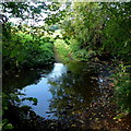 Ford crossing Leigh Brook by Pettyford Bridge