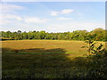 Derrymore Townland