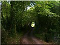 Llandawke Church - roadway