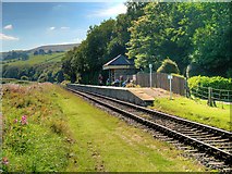 SD7920 : Irwell Vale Railway Halt by David Dixon