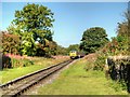 SD7920 : East Lancashire Railway: Train Approaching Irwell Vale by David Dixon