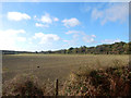 SC2269 : Field near Criot e Caley by Stephen Darlington