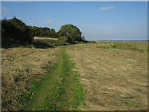 TF9443 : Norfolk Coast Path, Warham Greens by Hugh Venables
