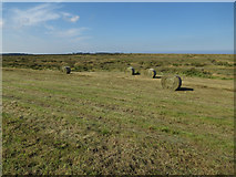 TF9443 : Baled grass, Warham Greens by Hugh Venables
