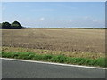 Flat farmland off the A1031