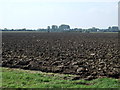 Flat field, Sutton Ings