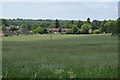 Chiddingstone Causeway