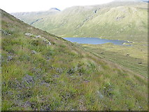 NH0537 : From Ben Dronaig to Loch Calavie by Richard Law