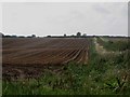 NU2404 : Arable field south of Warkworth by Graham Robson